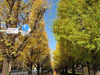 20121208-002.jpg