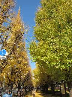 20121208-003.jpg