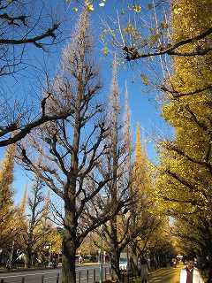 20121208-005.jpg