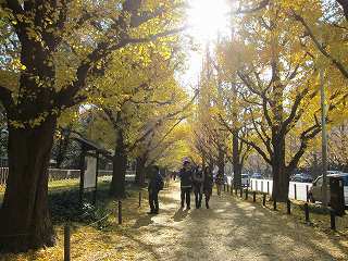 20121208-008.jpg
