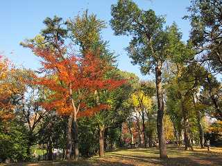 20121208-006.jpg