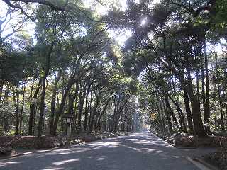 20121208-022.jpg