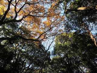 20121208-023.jpg