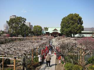 20130302-004.jpg