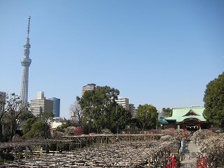 20130302-036.jpg