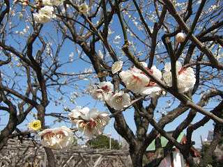 20130302-006.jpg
