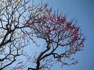 20130302-008.jpg