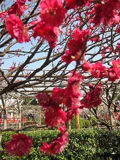 20130302-011.jpg