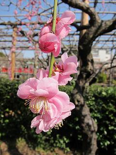 20130302-012.jpg