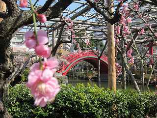20130302-013.jpg