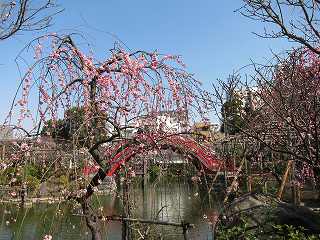 20130302-015.jpg
