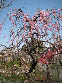 20130302-016.jpg