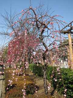 20130302-014.jpg