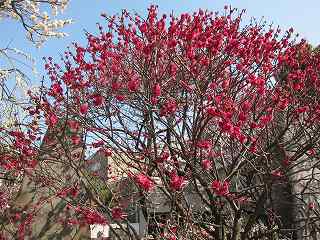 20130302-032.jpg