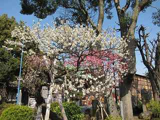 20130302-017.jpg