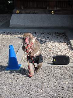 20130302-027.jpg