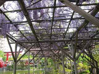 20100503-027.jpg