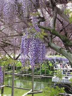 20100503-026.jpg