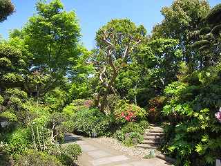 20130502-024.jpg