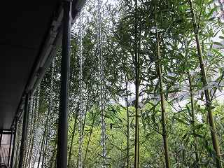20130511-016.jpg