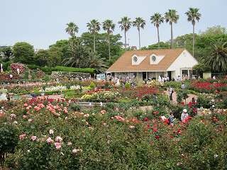 20130525-018.jpg
