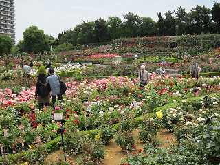 20130525-060.jpg