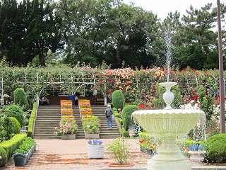 20130525-046.jpg