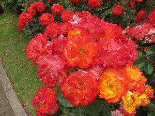 20130525-009.jpg