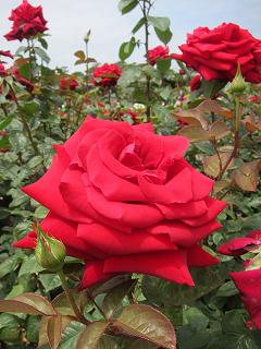 20130525-044.jpg