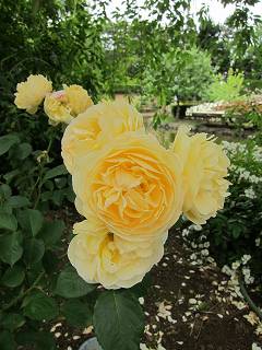 20130525-010.jpg