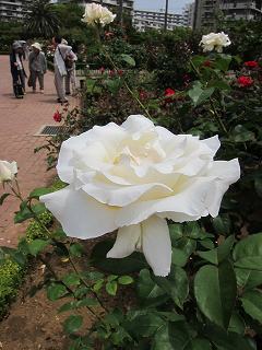 20130525-038.jpg