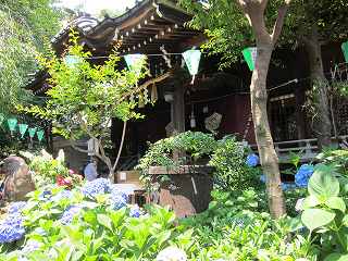 20130608-005.jpg