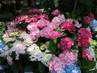 20130608-006.jpg