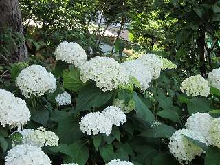 20130608-013.jpg