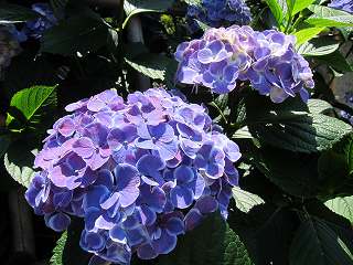 20130608-030.jpg