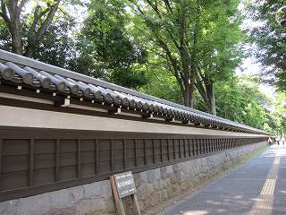 20130608-038.jpg