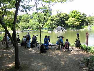 20130608-043.jpg