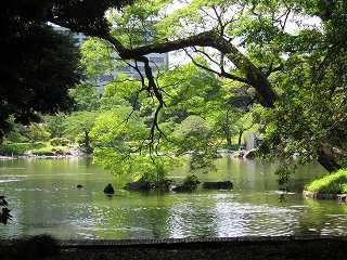 20130608-044.jpg