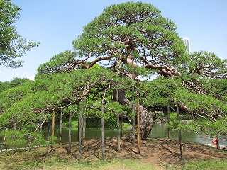 20130608-055.jpg