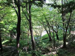 20130608-060.jpg