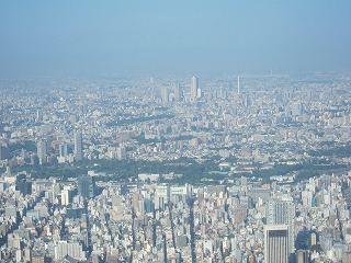 20131012-024.jpg