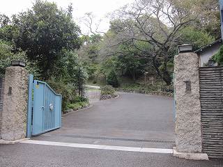 20131109-040.jpg