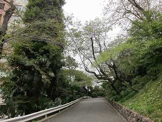 20131109-001.jpg