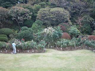 20131109-019.jpg