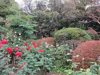 20131109-037.jpg