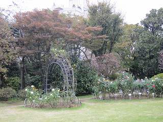20131109-036.jpg