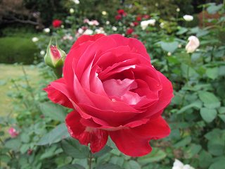 20131109-034.jpg