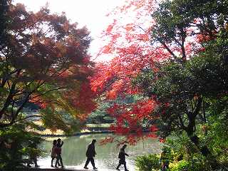 20131130-003.jpg