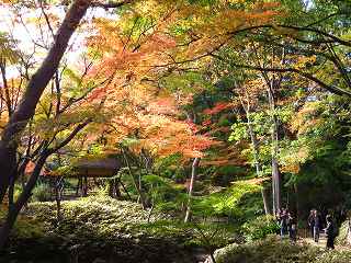 20131130-008.jpg