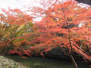 20131130-010.jpg